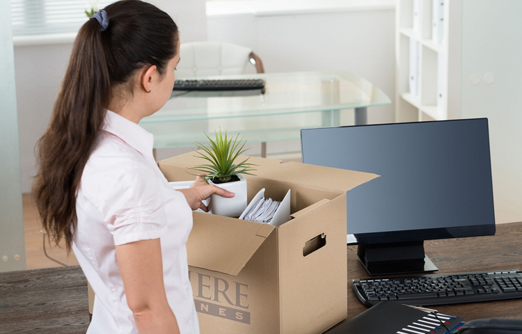 Packers And Movers Noida Sector 13